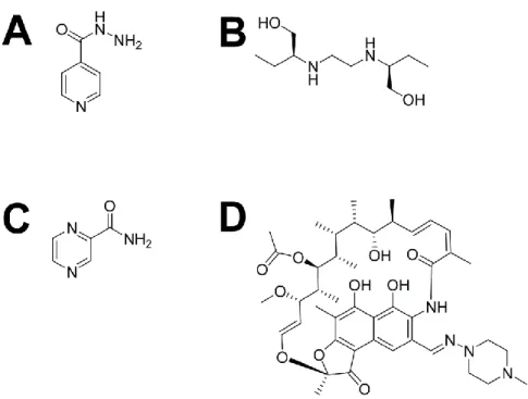 Figure 1.1.   Structure chimique des antibiotiques de première ligne employés pour traiter une infection par  M