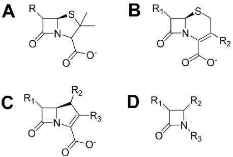Figure 1.5.   Structure de base des différents types d’antibiotiques β-lactames. (A) Les pénames, famille des  pénicillines  (p