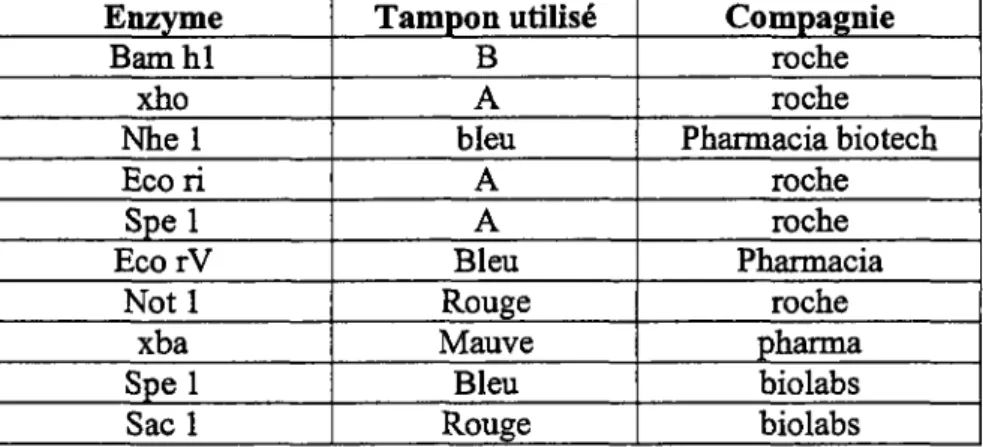 Tableau 3 : Enzymes dé restriction et tampons utilisés.  Enzyme  Bamhl  Nhel xho  Eco ri  Spel  EcorV  Notl  Spel xba  Sacl  Tampon utilisé A B bleu A A Bleu Rouge Mauve Bleu Rouge  Compagnie roche roche  Pharmacia biotech roche roche Pharmacia roche pharm