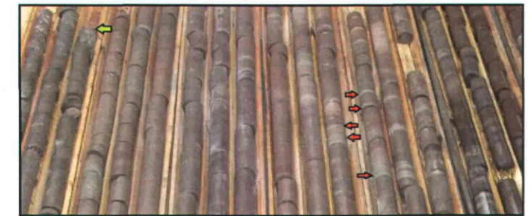 Figure  2-2La base  de I'unité  CVl. À partir de la gauche:  socle  précambrien  (timité  par la flèche  verte)  suivi des grès très grossiers  montrant  des horizons  vert blanchâtre  (exemples  illustrés  par les flèches  rouges).
