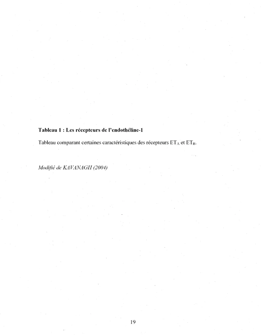 Tableau 1 : Les recepteurs de l'endotheline-1 