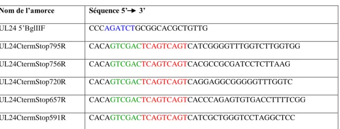 Tableau I. Liste des amorces utilisées pour la stratégie de clonage de formes mutées d'UL24 dans la partie C- C-terminale de la protéine