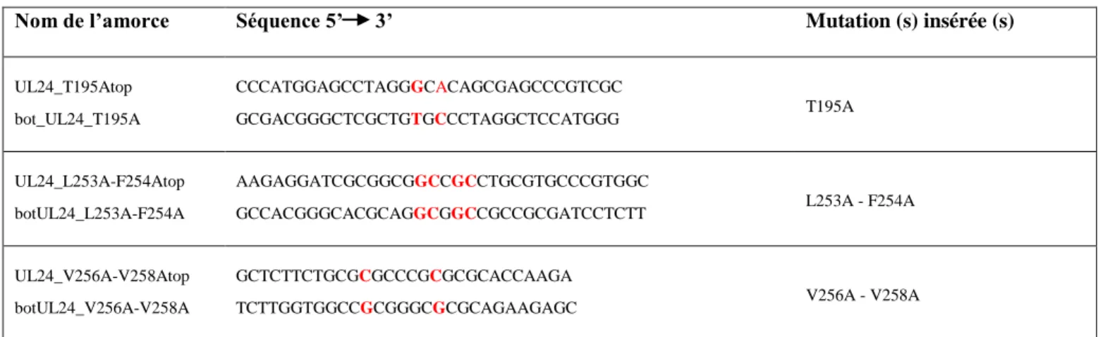 Tableau II. Liste d'amorces utilisées lors de la mutagenèse dirigée par PCR  