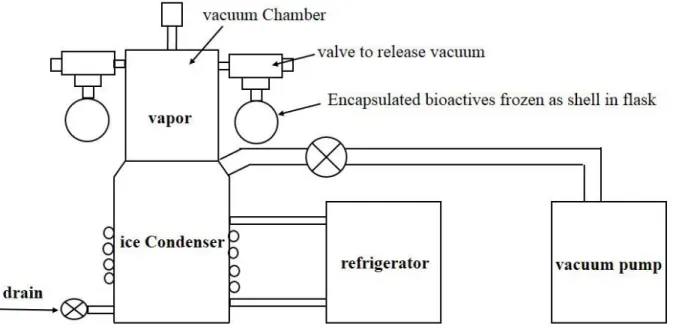 Figure 1.2: Freeze drying method 