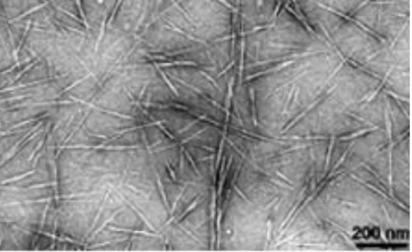 Figure -1.4: TEM image of highly anionic cellulose nanocrystals adapted from Habibi et al
