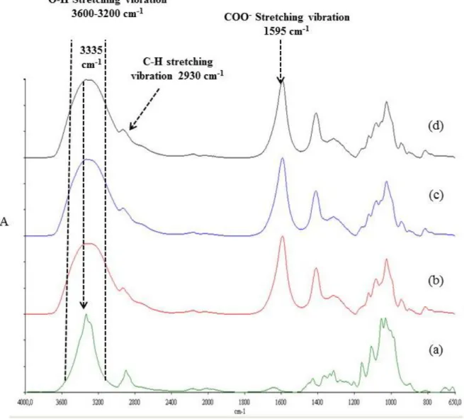 Figure 2.4:  FTIR spectra of (a) Pure CNC film, (b) Native alginate, (c) Alg+5% (w/w) CNC  and (d) Alg+8% (w/w) CNC