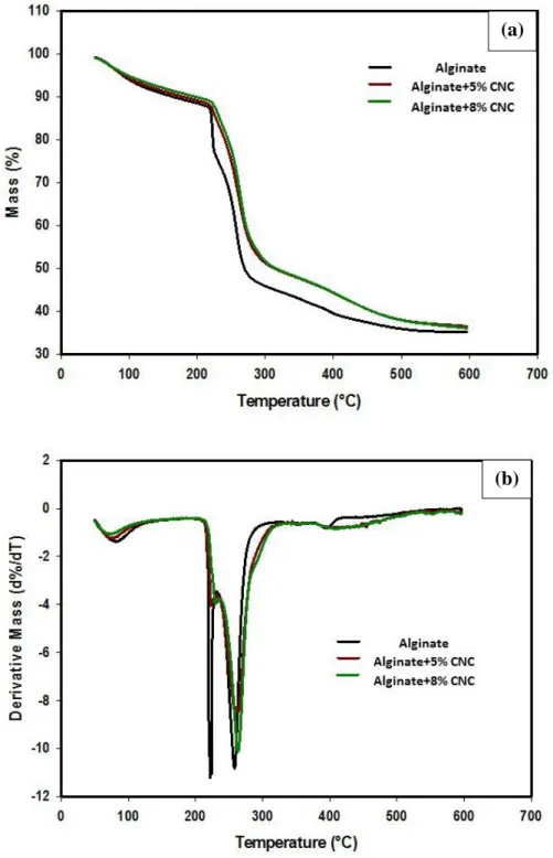 Figure 2.6:  (a) TGA and (b) derivative TGA curve for Alginate, Alginate +5% (w/w) CNC and  Alginate +8% (w/w) CNC Film