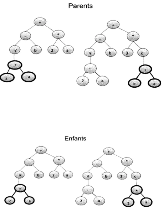 Figure 1.3  Opération de  transfert dans I'algorithme génétique. Les sélections en  gras pour  les  deux parents sont échangées pour créer les enfants.
