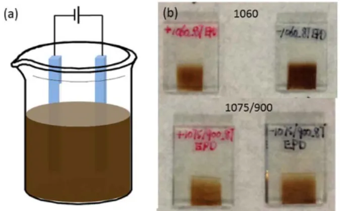 Figure 2.3   (a) Illustration of the EPD system; (b) images of QDs/TiO 2  electrodes after 1 h of  EPD, red and black labels corresponding to samples produced from positive and  negative electrode of applied bias