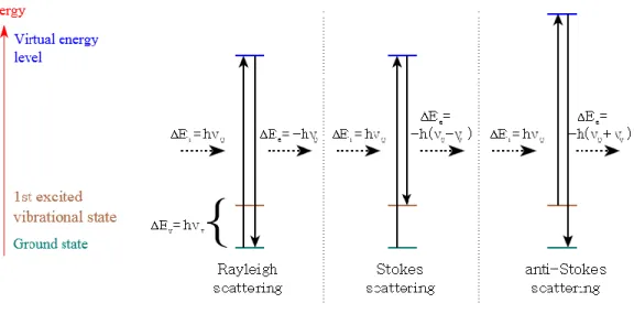 Figure  1.5  The  different  possibilities  of  visual  light  scattering:  Rayleigh  scattering  (no  exchange  of  energy  so  the  incident  and  emitted  photons  have  the  same  energy),  Stokes  scattering  (the  atom or molecule absorbs energy and 