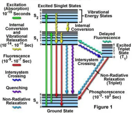 Figure  1.7  Jablonski  diagram.  After  an  electron  absorbs  a  high  energy  photon  the  system  is  excited  electronically and  vibrationally