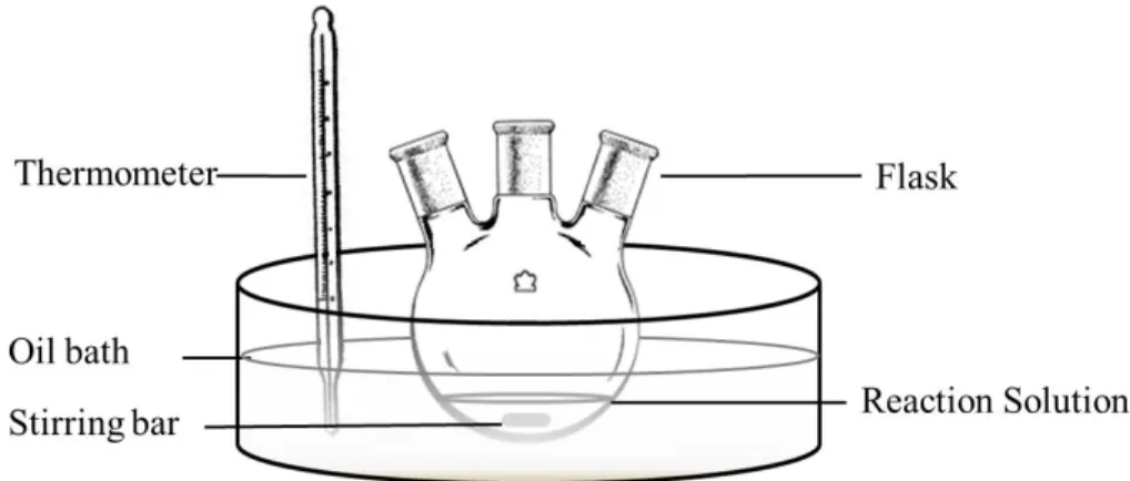 Figure 2.1  Schematic illustration of the setup for Ag nanostructures preparation. 