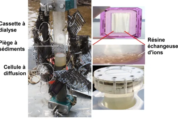 Figure 2.2 : Récolte des cellules à diffusion et des cassettes à dialyse après deux semaines