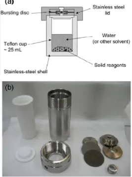 Figure 34. (a) A schematic cross section view of a Teflon-lined, stainless autoclave [203]
