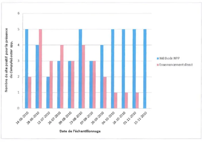 Figure  4.1  :  Comparaison  entre  la  méthode  du  nombre  le  plus  probable  (NPP)  et  la  technique  d'ensemencement  direct  pour  la  récupération  de  Campylobacter spp