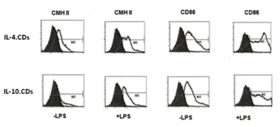 Figure 8.  Analyse de l'expression du  CMH II et des  molécules de co-stimulation CD86 chez  différents  types  de  CDs