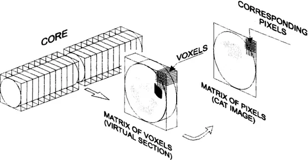 Figure  26.  Représentation  schématique  de la relation  entre l'obiet  étudié  et son image tomodensimétrique