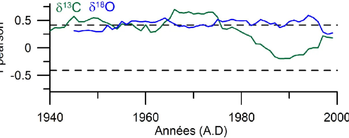 Figure 11. Corrélations de Pearson calculées avec une moyenne mobile de 21-ans entre la  température maximale JJA et la série δ 13 C (ligne verte) et la série δ 18 O (ligne bleue)