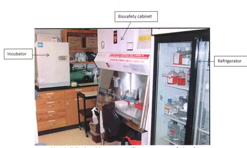 Fig. 1.3: Cell culture laboratory  setup  (Source:  www.vetmed.wisc.edu)