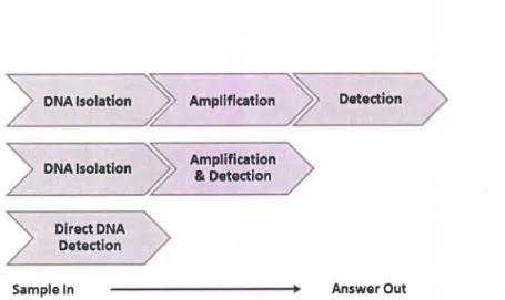 Fig. 1.4: Nucleic acid testing formats  (Craw and Balachandran  2012)