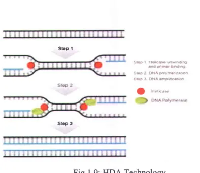 Fig. 1.9: HDA Technology