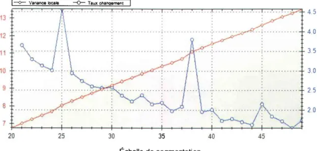 Figure 2.5 : Optimisation de l'échelle pour la segmentation multirésolution.