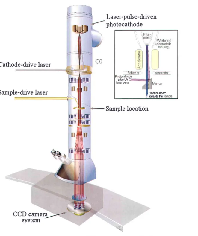 Figure 5.  Schematic representation  of the DTEM  developed at LLNL.  The position of the molybdenum mirror is given on right instead in the electron beam path for more clarity of the pathways of the laser and electron beams