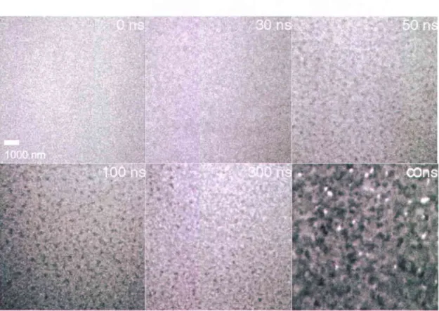 Figure 10.  Time-resolved images of the crystallization process in a-Ge/SiO in the central part of Zone L The time delays are denoted at the upper right corner of each block image