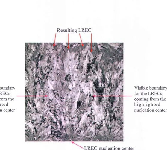 Figure 14.  About four LRECs growing from one nucleation center. The visible boundaries of the LREC coming from the nucleation  center are pointed with magenta  arrows.
