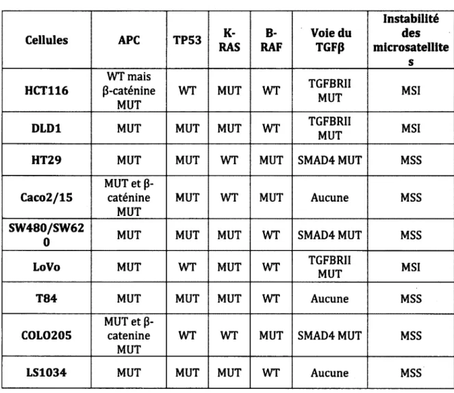 Tableau 3 -  Statut des mutations dans des lignées cellulaires cancéreuses du côlon Cellules APC TP53  K-RAS  B-RAF Voie du TGFp Instabilitédes microsatellite s HCT116 WT mais  p-caténine  MUT WT MUT WT TGFBRIIMUT MSI