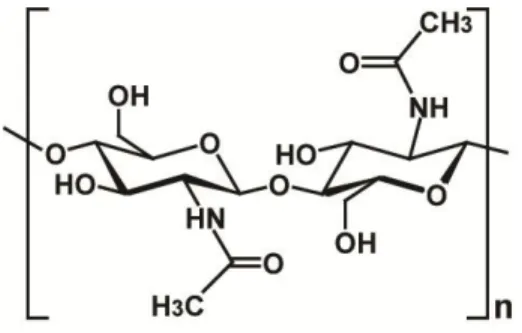 Figure 1.1. Repetitive unit of chitin. Figure adapted from reference (17). 