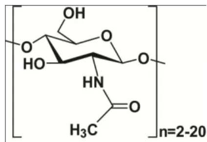Figure 1.2. The chemical formula of a chitooligosaccharide.  