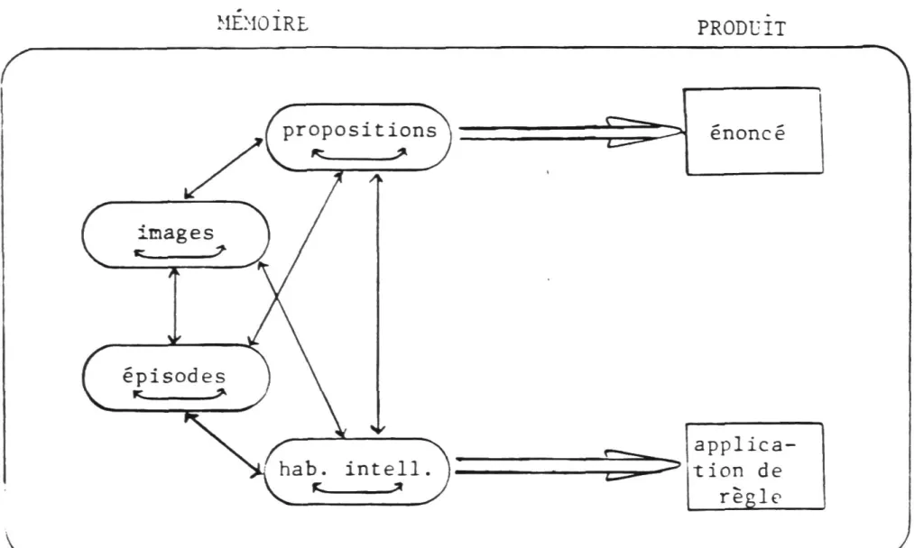 Fig. 3 - Structures secondaires de la mémoire à long terme pour le  domaine cognitif. Les flèches indiquent des relations