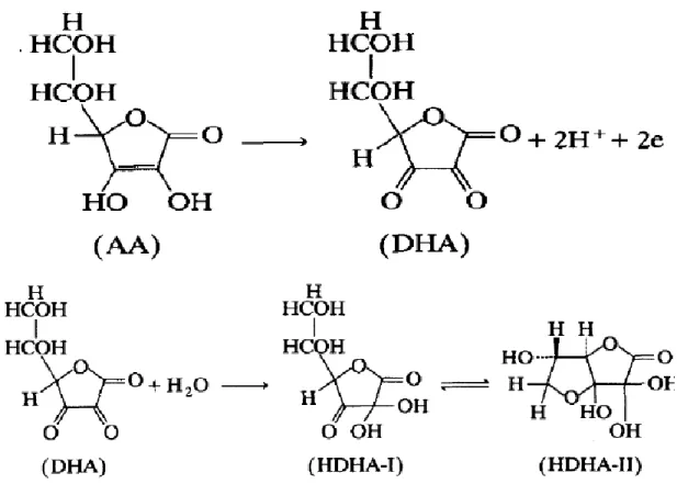 Fig 1.8: Steps of electrochemical oxidation of Ascorbic Acid on Pt electrode [123]. 