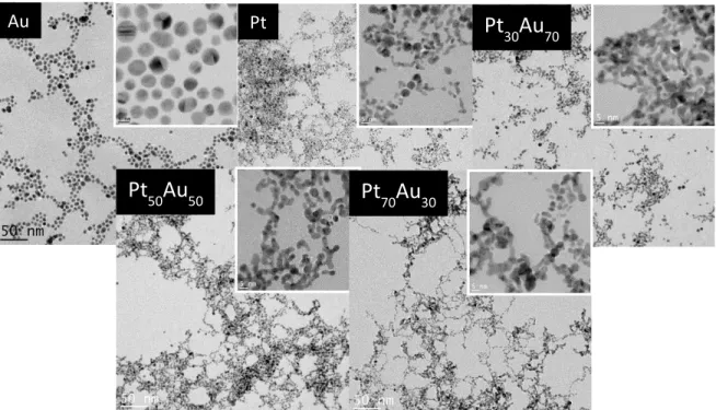 Fig. 1.11: Transmission electron microscopy micrographs of Pt, Au, nominal Pt 30 Au 7,  Pt 50 Au 5 
