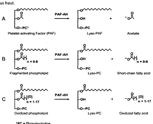 Figure 16. Réactions catalysées par la PAF-AH