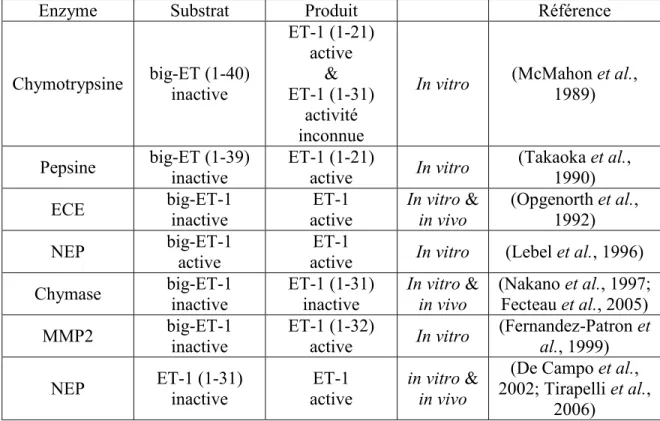 Tableau 1 : Récapitulatif des enzymes impliquées dans la maturation de l’ET-1. 