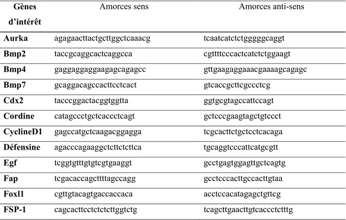 Tableau 6. Amorces utilisées en PCR quantitatif ou semi-quantitatif  Gènes 
