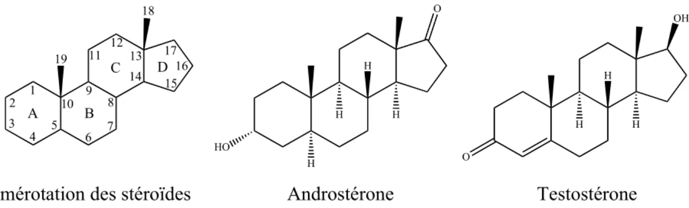 Figure 2: Numérotation du noyau androstane, structure de l’androstérone et structure de la testostérone