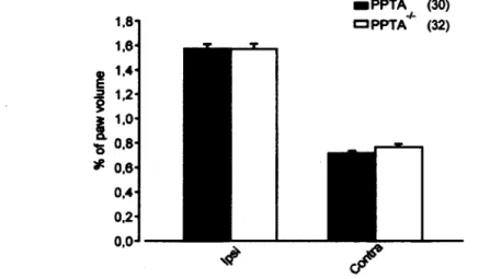 Figure  2  Level of edema seventy-two hours after CFA injection in the right  hind  paw  (ipsilateral) in PPTA +/+  and PPTA" /_  mice