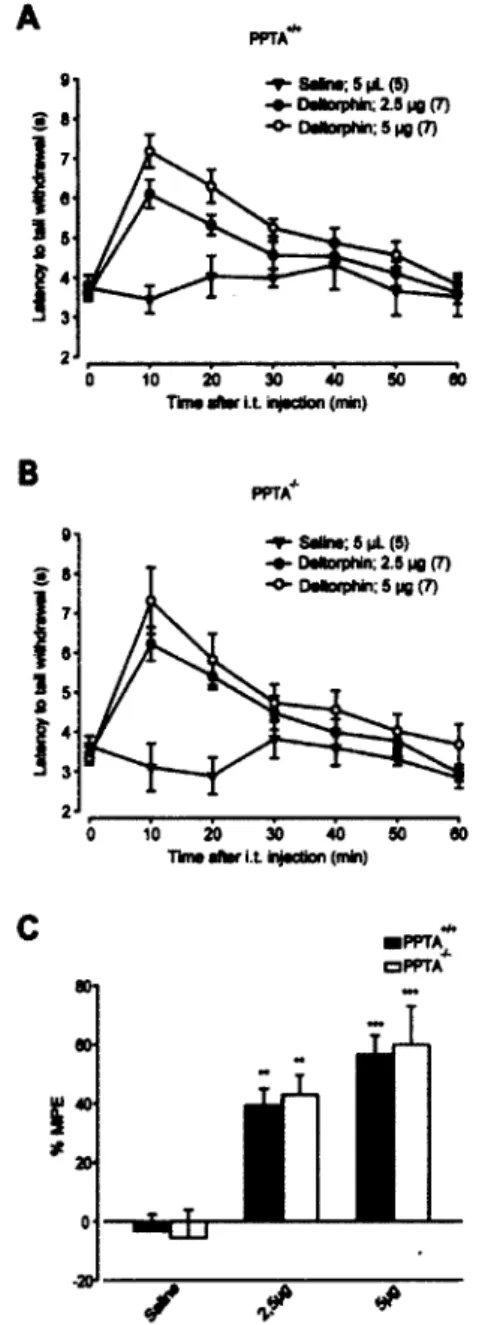 Figure 4 Antinociception induced by deltorphin II in PPTA" 7 " and PPTA +/+  mice