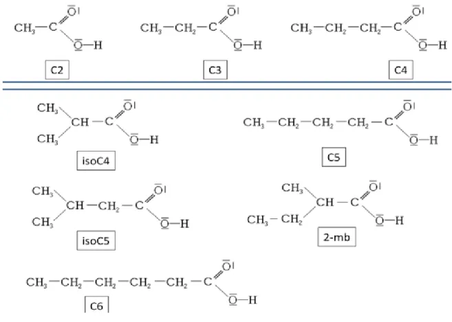 Figure 2 : Les acides gras volatils 