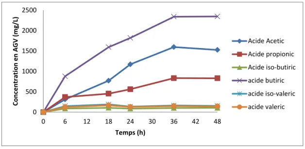 Figure  4 :  Évolution  des  différents  AGVs  en  fonction  du  temps  lors  de  la  fermentation  utilisant le saccharose comme additif
