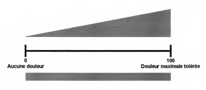 Figure 3 : Échelle visuelle analogique (ÉVA). 