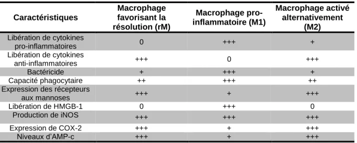 Tableau 2: Phénotypes des macrophages rM, M1 et M2 