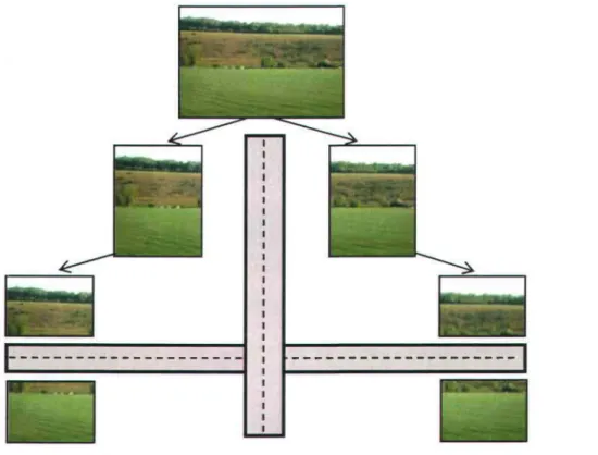 Figure 1  Processus de fragmentation par les routes 
