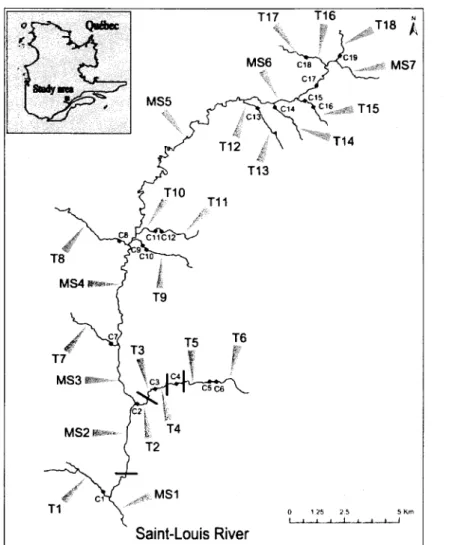 Figure I Locations  of  the  twenty  five  sampling  sites  in  the  Saint-Louis  River watershed, Québec, Canada