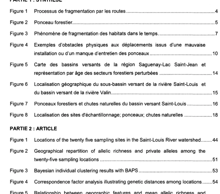 Figure  1  Processus de fragmentation  par les routes ...............................................................