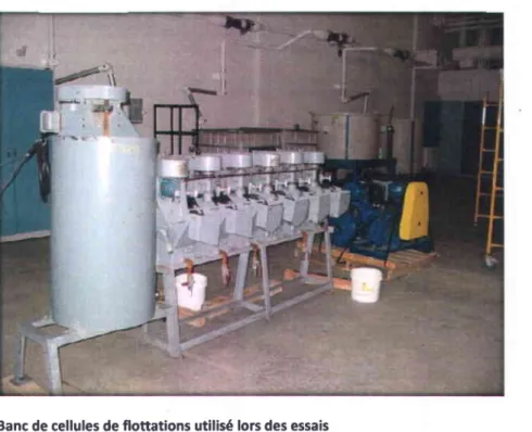 Figure  3.3 Banc de cellules  de flottations utilisé lors des essais