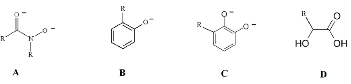 Figure 2. Classification des sidérophores selon leur fonction chimique : A) hydroxamate, B) phénolate, C)  catécholate, D) carboxylate